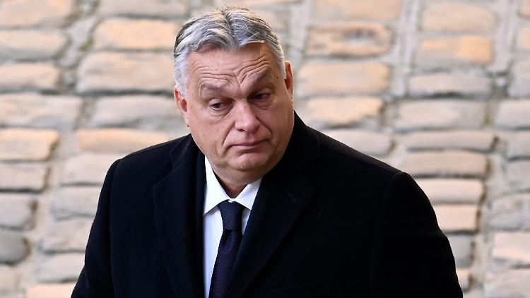 Es müsse verhindert werden, dass infolge der Wahl Ungarns Staatschef Orban "in eine zentrale Rolle" komme, sagte Weber.
