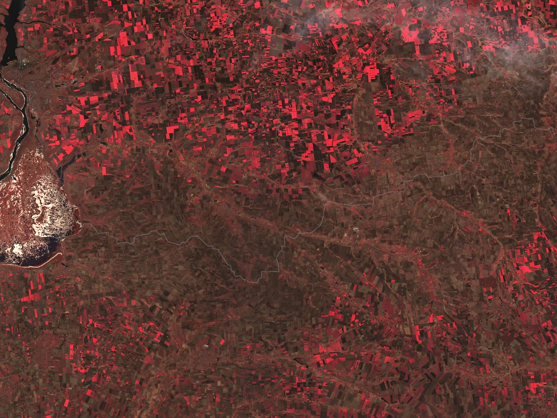 In der Falschfarben-Aufnahme ist das Ausmaß der Kampfzone noch besser zu sehen: Lebende Vegetation erscheint hier in Rot, brach liegendes Ödland in Frontnähe Braun.