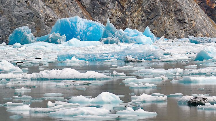 Der Verlust von Schneedecken bedeutet möglicherweise weniger Schmelzwasser im Frühjahr für Flüsse, Bäche und Böden flussabwärts, wenn Ökosysteme und Menschen Wasser benötigen, warnen die Forscher.