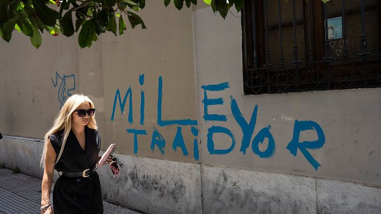 "Milei Verräter" ("Mi ley traidor") ist in Bezug auf das Mega-Dekret auf einem Graffito in Buenos Aires zu lesen. Im Wahlkampf hatte er versprochen, die Kosten der Reformen würde "die Kaste" aus Politikern und Unternehmern zahlen.