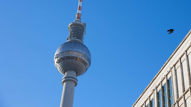 Die Geier kreisen bereits ...