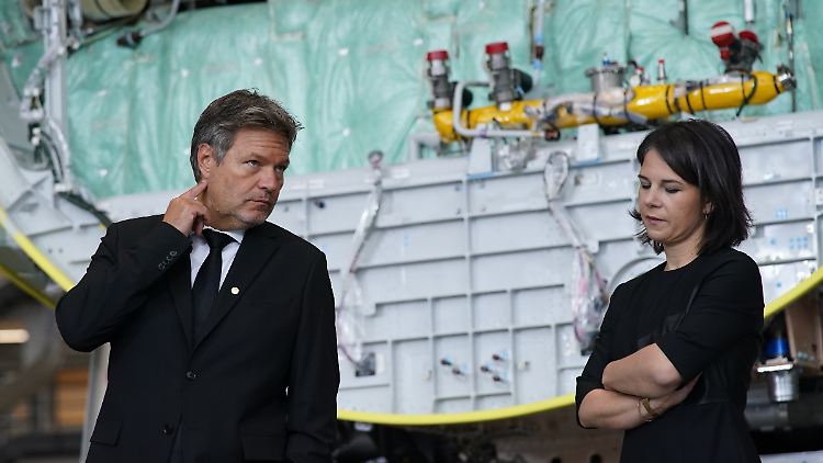 In den Köpfen habe sich ein bestimmtes Bild von den Grünen festgesetzt, sagt Silke Borgstedt - hier die Minister Habeck und Baerbock.