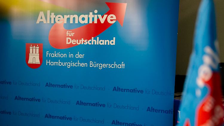 Die Jusos Hamburg Nord wollen die AfD verbieten lassen.
