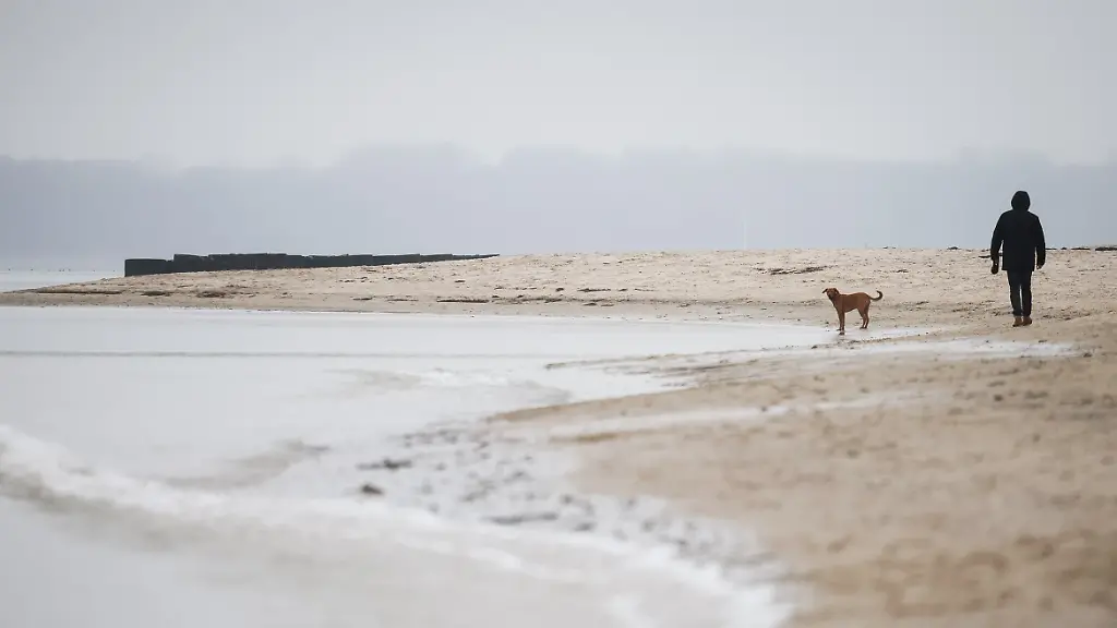 d93d81d0ad54cd30e8d18d944b34620d