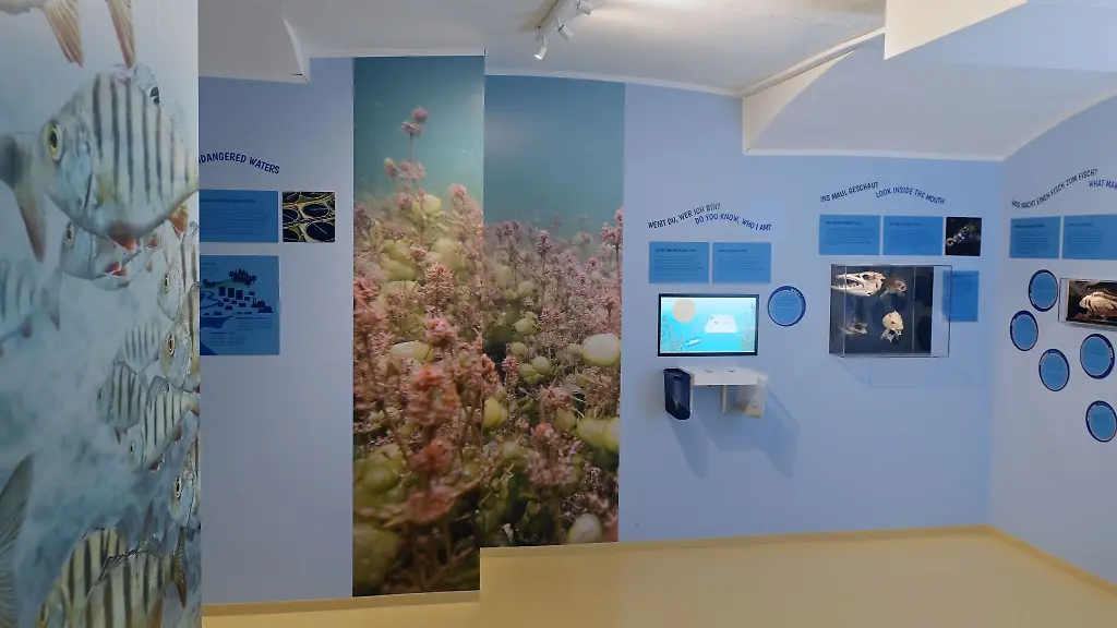 In-einem-Kellerraum-im-Aquarium-des-Naturkundemuseums-Potsdam-wird-ueber-Fische-informiert
