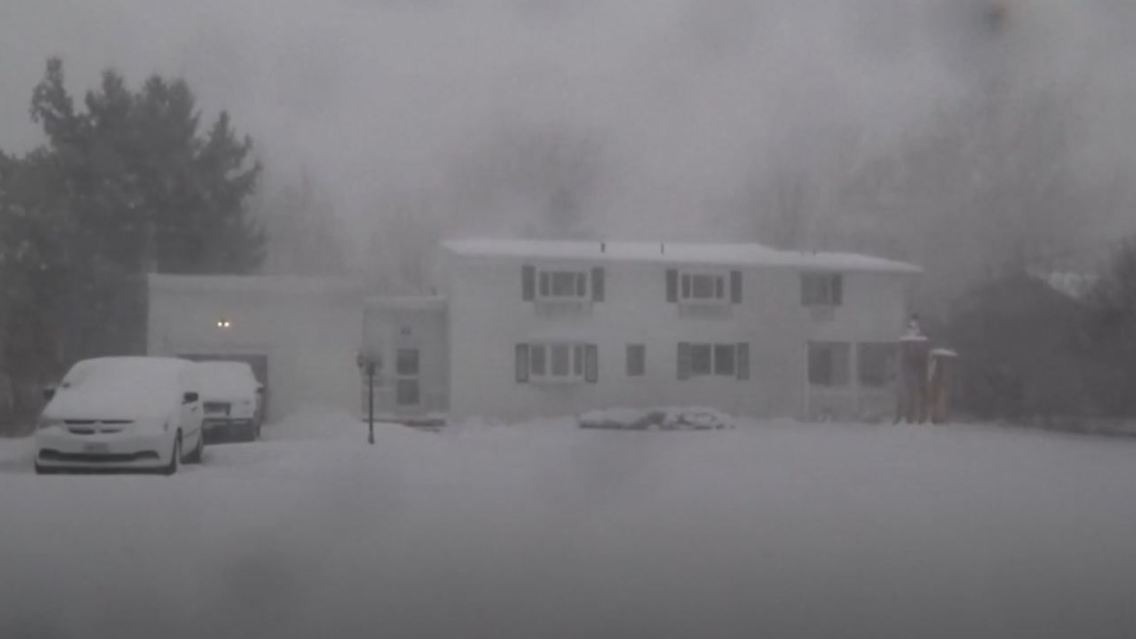 Buffalo.JPG