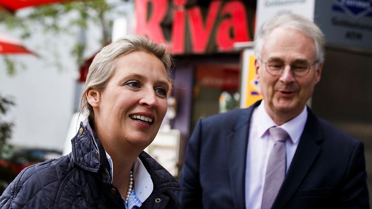 Seine Dienste sind von Alice Weidel nicht länger erwünscht: Roland Hartwig.