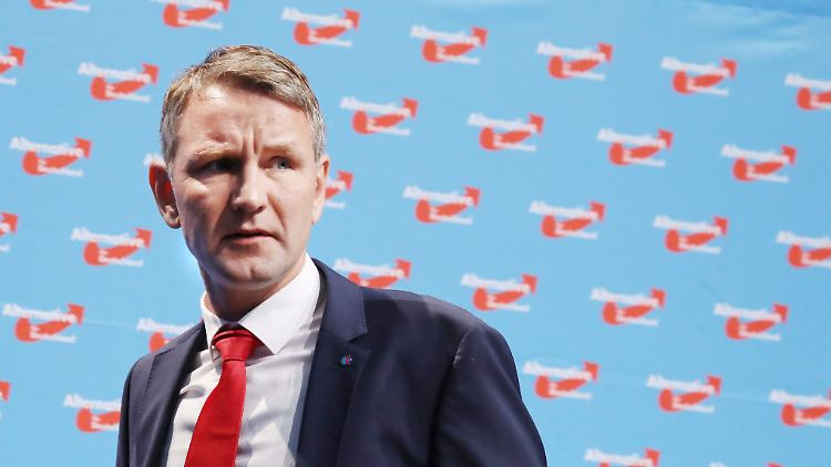 Die Autoren der Petition fordern, Björn Höcke solle der freiheitlichen Demokratie keinen weiteren Schaden zufügen können.