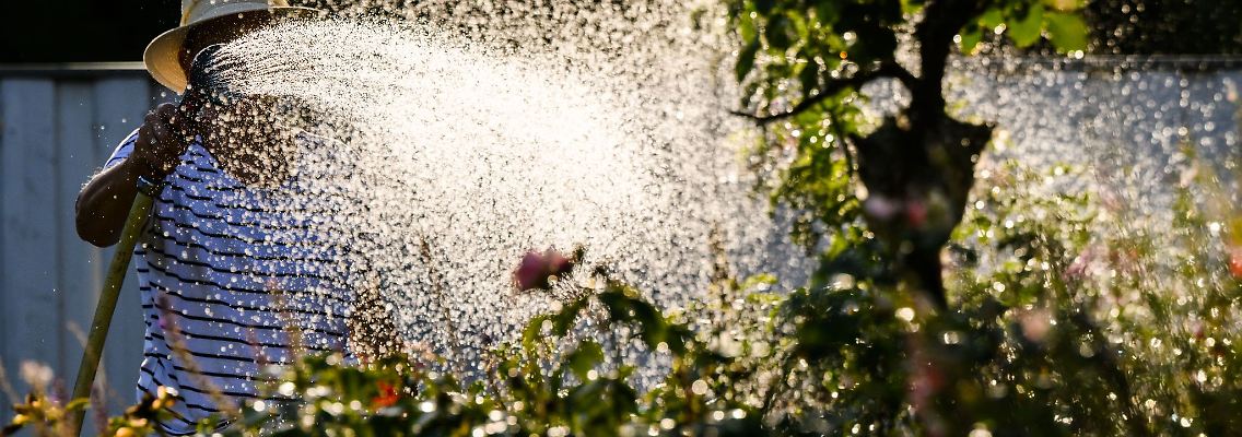 Eine Frau gießt mit Wasser aus einer Grundwasserpumpe ein Blumenbeet.