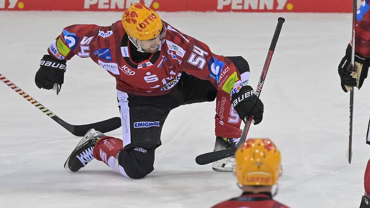 Felix Scheel und seine Pinguins haben derzeit viel Grund zum Jubeln.