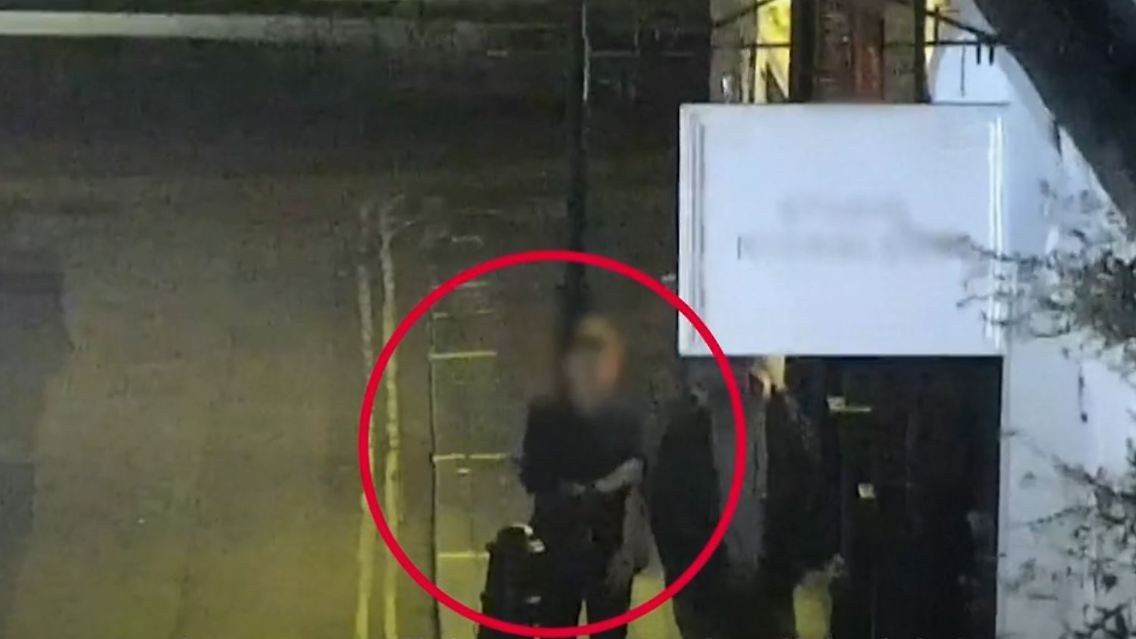 lockvögel.JPG