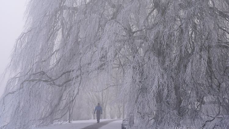 Weite Teile Deutschlands versinken derzeit im Schnee.