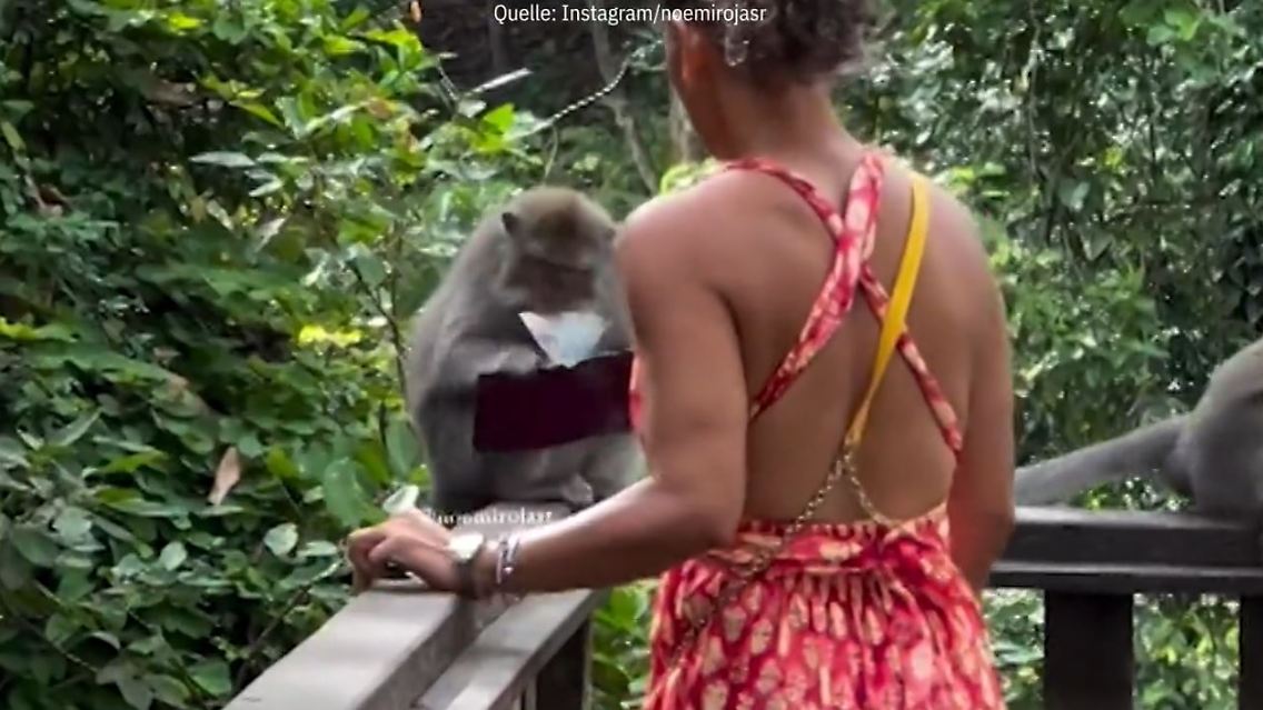 Affe.JPG