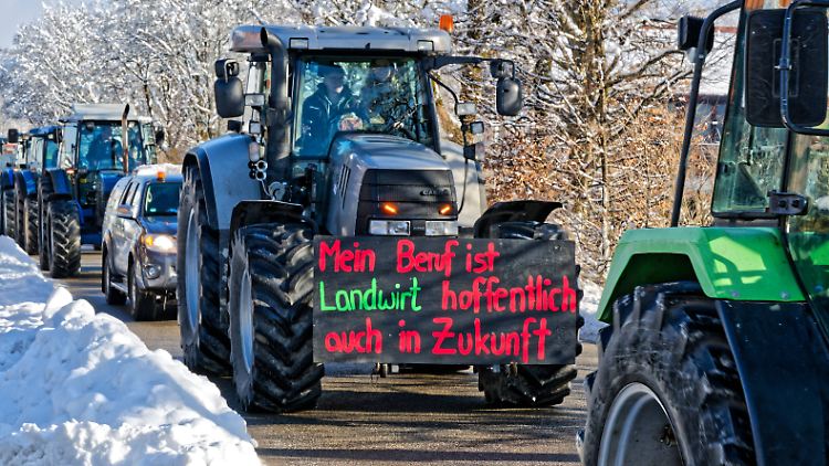 Bauern beim Protestzug: Seit langem fordern die 
Landwirte mehr Unterstützung von der Politik.