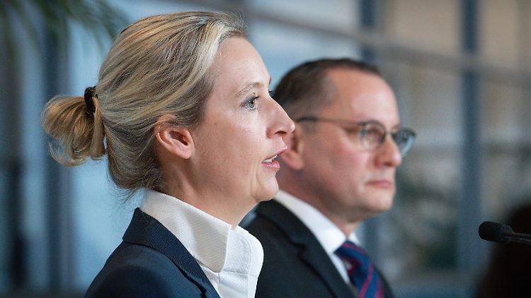 Die AfD will die EU durch einen "Bund europäischer Nationen" ersetzen.