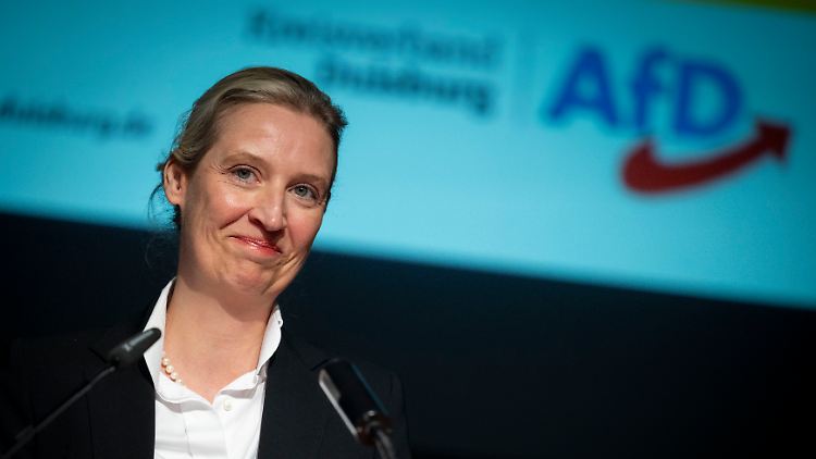 Bei dem Treffen von Rechtsextremisten in Potsdam war auch ein Mitarbeiter von AfD-Chefin Weidel anwesend - von dem sie sich anschließend trennte.