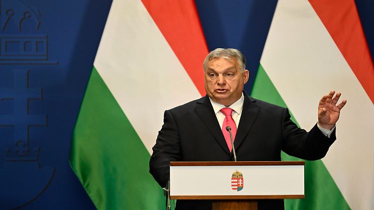 Orban blockiert seit Langem die schwedische NATO-Mitgliedschaft.