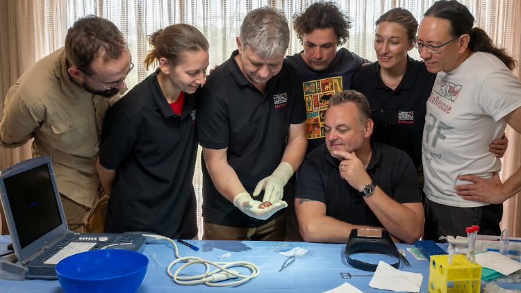 Stolzes Forschungsteam: Daniel Cizmar, Susanne Holtze, Thomas Hildebrandt, Jan Stejskal, Julia Bohner, Steven Seet (v.l.) und Frank Göritz (sitzend) mit dem durch künstliche Befruchtung erzeugten Nashorn-Embryo.