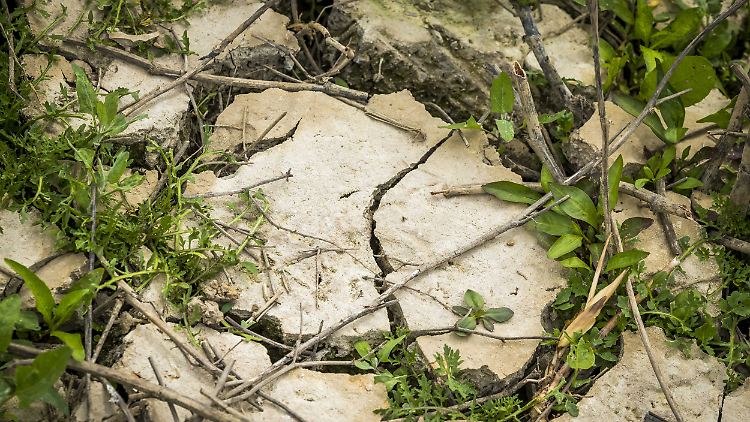 Zu wenig Niederschlag und zu viel Wasserentnahme führen dazu, dass der Grundwasserspiegel vielerorts sinkt.