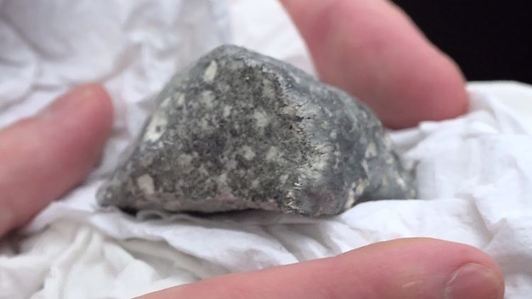 Das Bruchstück wurde von vier polnischen Meteoritensuchern auf einem Feld bei Ribbeck im Havelland in Brandenburg gefunden. 
