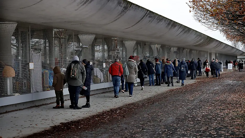Besucher-blicken-in-die-Tierhaeuser-im-Tierheim-Berlin
