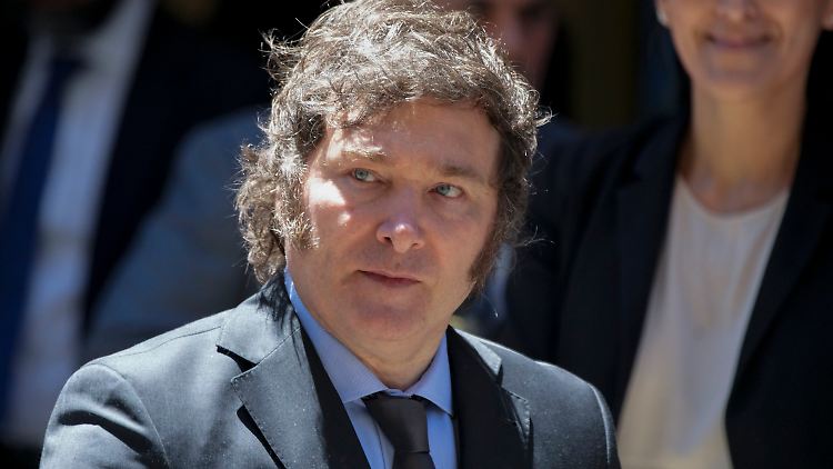 Gegen ihn formieren sich aktuell Massenproteste: Javier Milei.