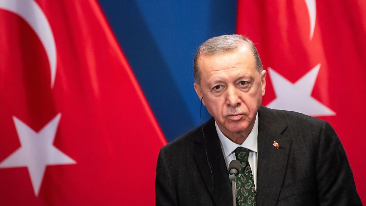 Die Gründung eines Ablegers der AKP des türkischen Präsidenten Recep Tayyip Erdogan sorgt in Deutschland für viel Kritik und besorgte Reaktionen.