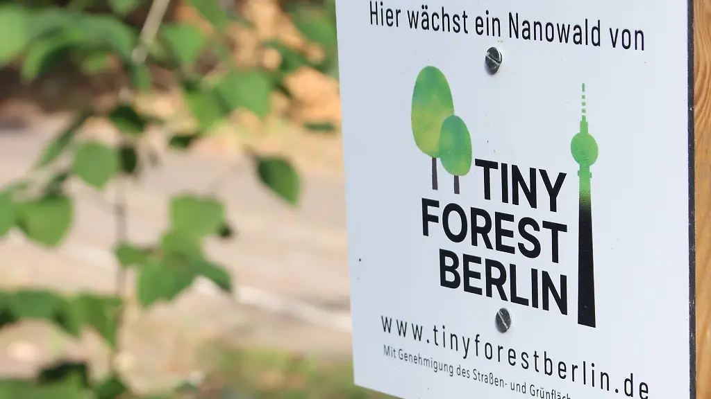 Ein-Schild-weist-auf-einen-Tiny-Forest-hin