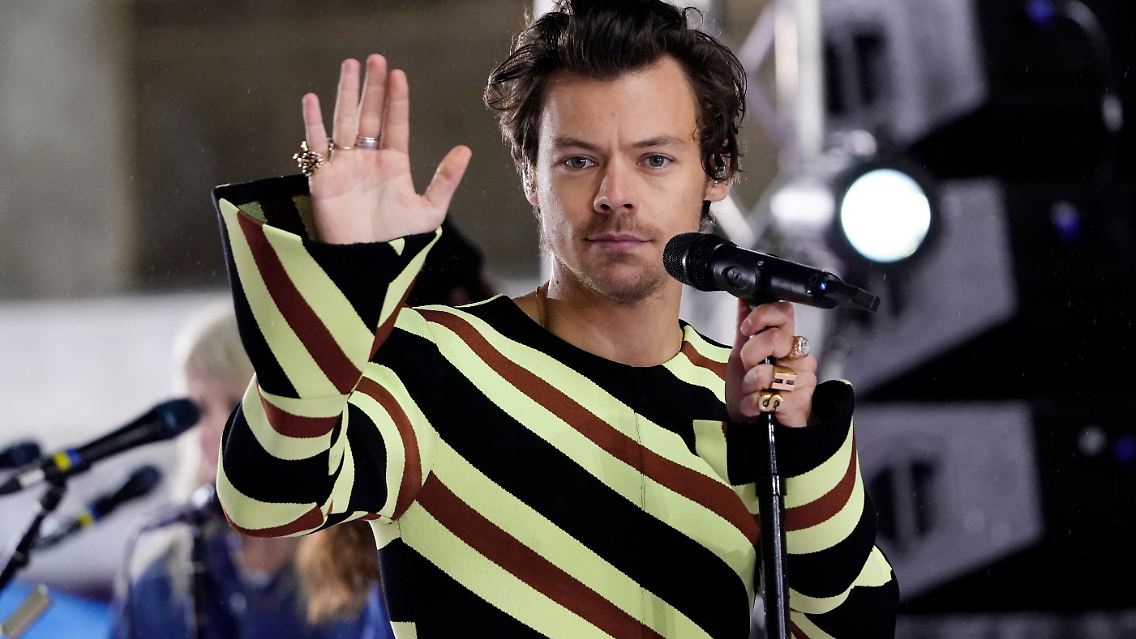 Hallo, ich bin's, Harry Styles. Der Mann, der wirklich alles tragen kann.
