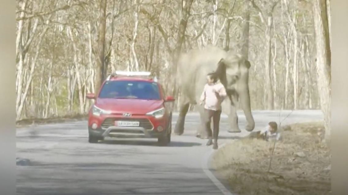 Elefant.JPG