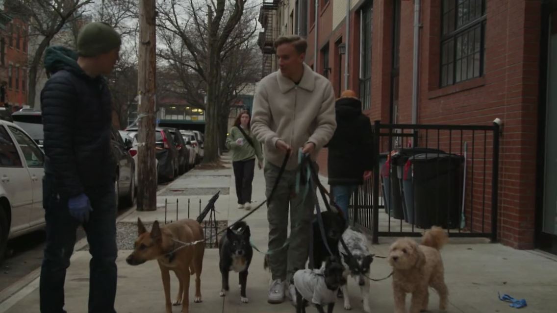 doggos.JPG
