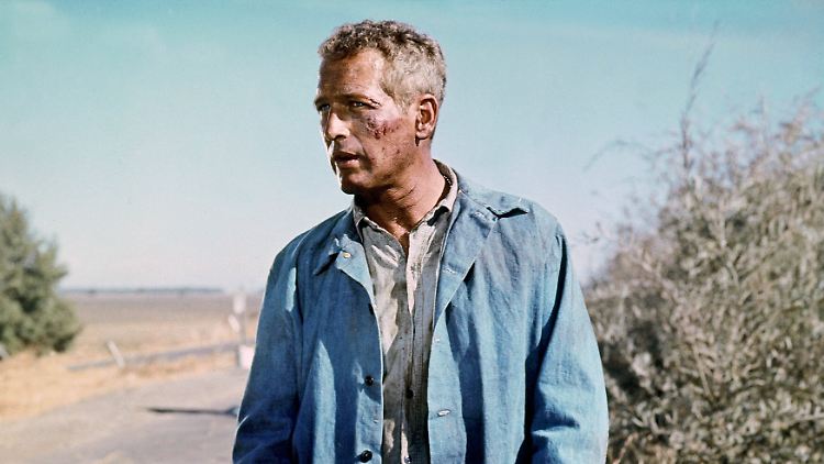 Paul Newman als Cool Hand Luke.