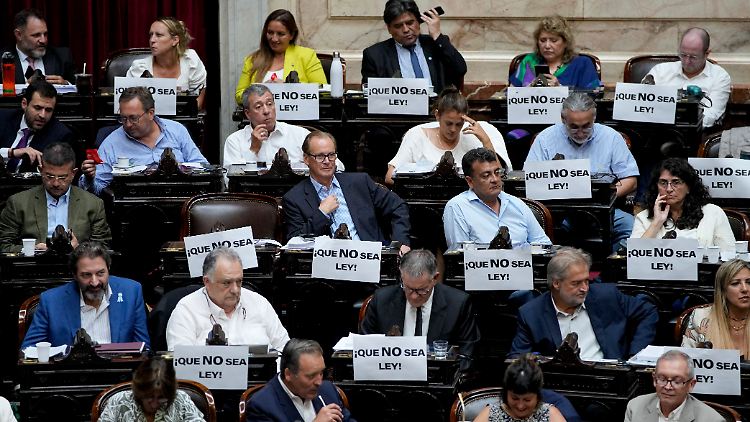 "Verabschiedet das Gesetz nicht" steht auf zahlreichen Schildern im Unterhaus des argentinischen Parlaments.