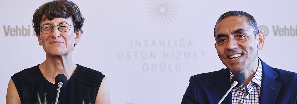 296042039.jpg