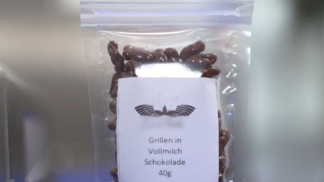 Grillen.JPG