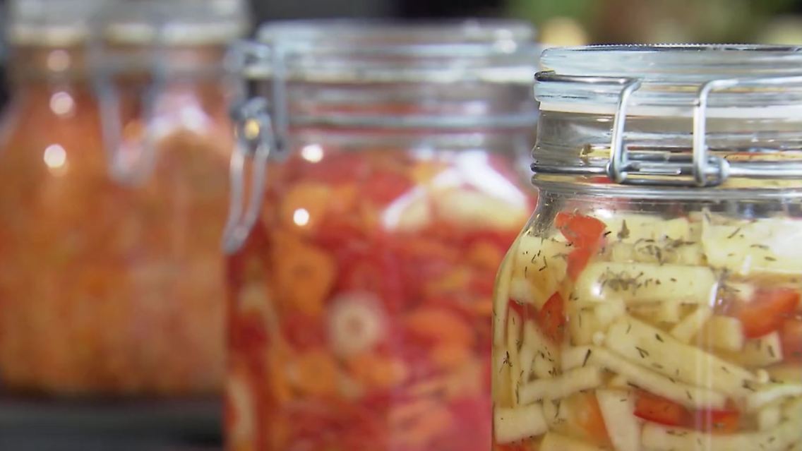 fermentation.JPG