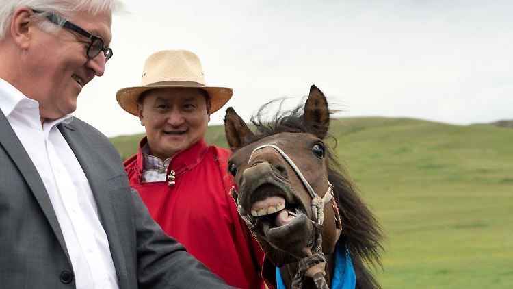 Damals noch Außenminister - aber auch heute noch Pferdepate in der Mongolei: Frank-Walter Steinmeier.