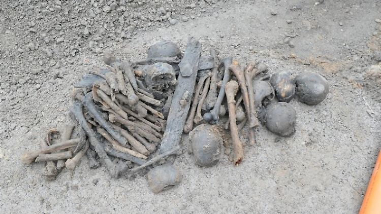 Wie lange liegen die Knochen dort schon? Und wem gehören sie?