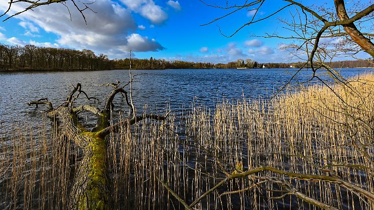 In Teilen Deutschlands werden Sonnenschein und blauer Himmel für das Wochenende erwartet.