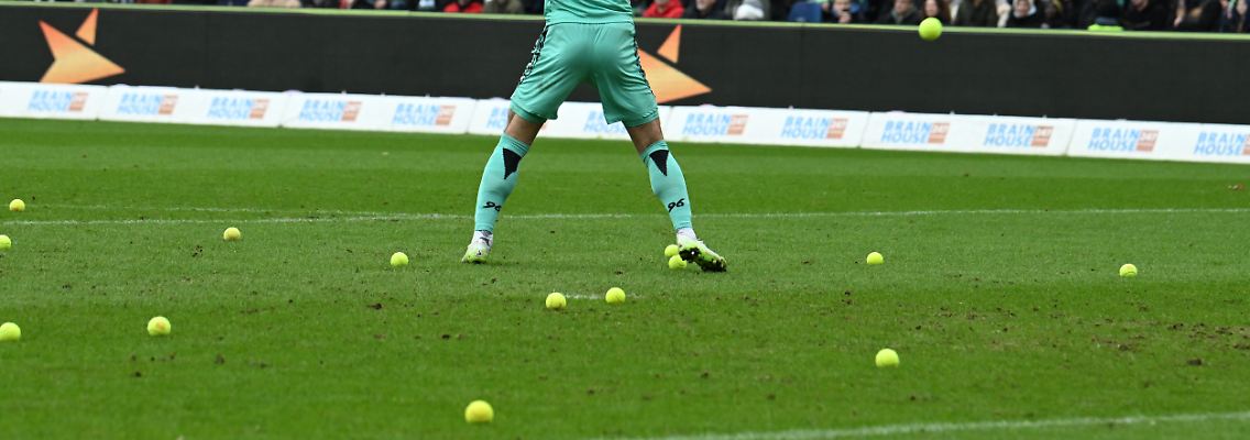 445374985.jpg
