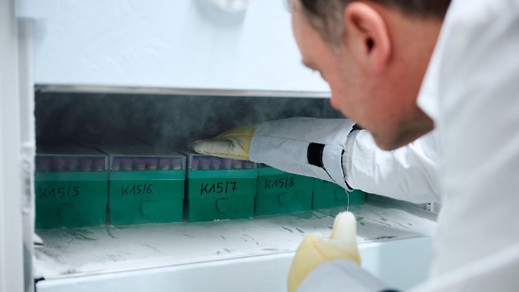 Martin Kraft, Leiter des Fachbereichs Umweltmedizin, Toxikologie und Epidemiologie des Landesamts für Natur, Umwelt und Verbraucherschutz (LANUV) NRW: Mit seinem Team wies er den schädlichen Weichmacher Di-n-hexyl-Phthalat in vielen Urinproben von Kleinkindern nach.