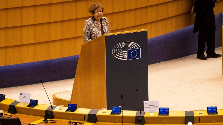 Die lettisch-russische Mathematikerin und Politikerin Tatjana Zdanoka sitzt seit 2004 im EU-Parlament. 