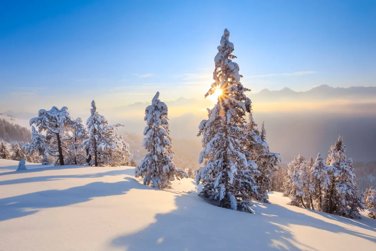 e73175e0860e76940f4fb6b503ef3c1d