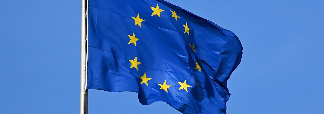 Im Juni findet die nächste Europawahl statt.