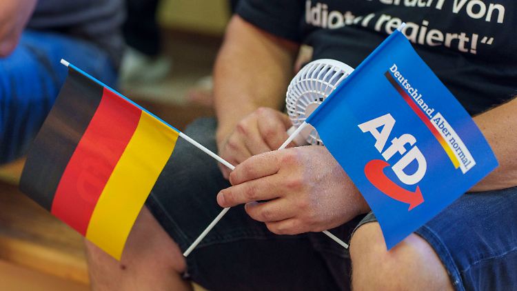 Ein AfD-Anhänger bei einer Veranstaltung der Partei (Archivbild)