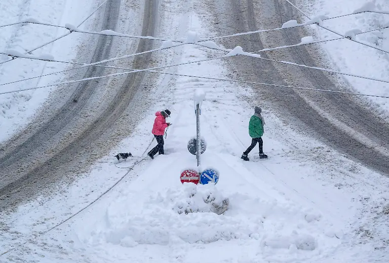 d3f31e4372a7cc7336bff4a421c647e2