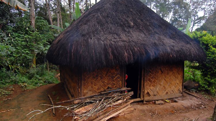 In Papua-Neuguinea kämpfen verfeindete Clans seit Jahrhunderten gegeneinander - doch der Zugang zu automatisierten Waffen heizt die Gewalt weiter an.