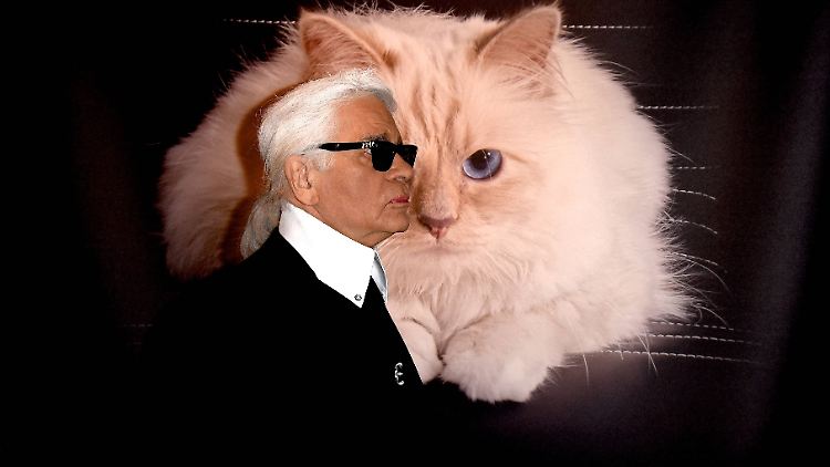 Hatten eine besondere Beziehung: Karl Lagerfeld und Choupette.