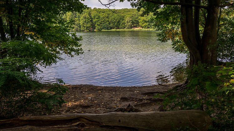Die Tat fand nach einer Feier am Schlachtensee in Berlin-Zehlendorf statt. 