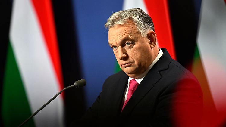 Schweden wartet bereits seit Monaten auf grünes Licht aus Ungarn. Dort blockiert die Partei von Ministerpräsident Viktor Orban eine Ratifizierung bislang.
